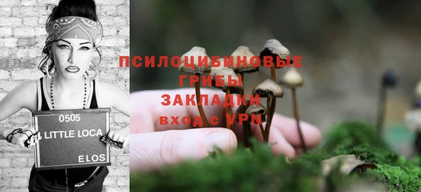 PSILOCYBIN Балахна